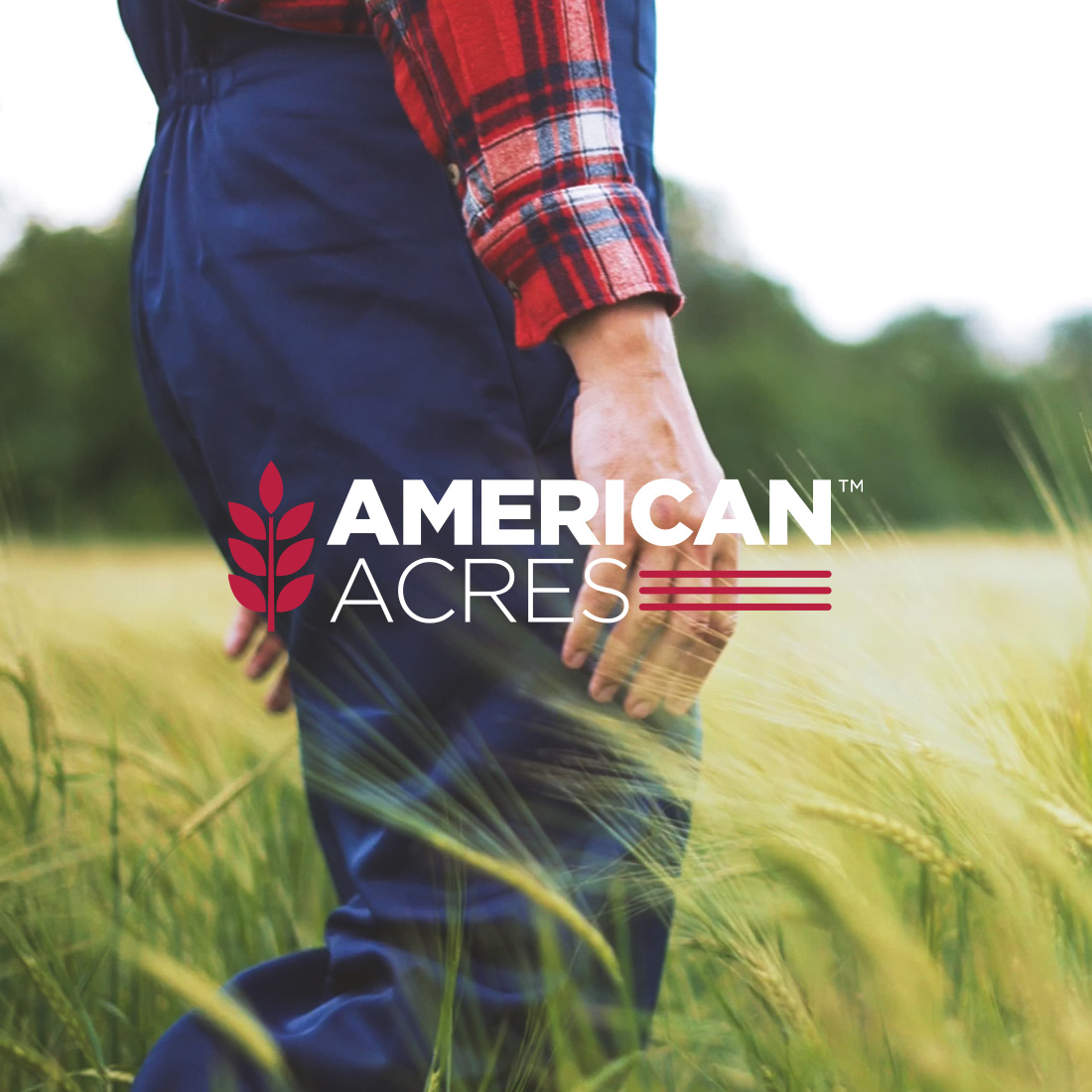 American Acres